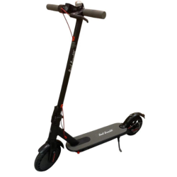 Електричний самокат 350 Вт Best Scooter