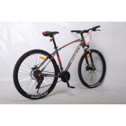 Велосипед Спортивний 29" Forte Titan 
